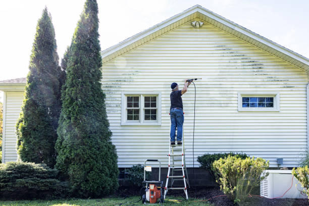 Solar Panel Cleaning in Assumption, IL